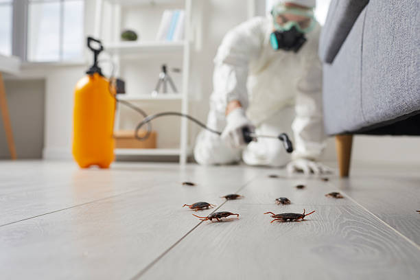 Trusted Fumigation Services service in Kennesaw, GA - Nex Pest Control