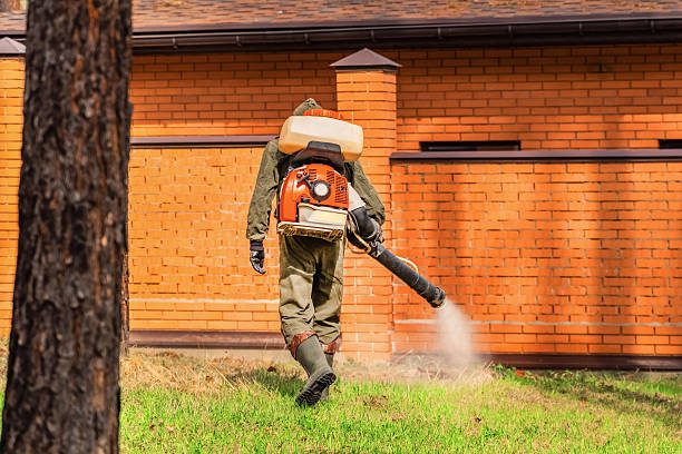 Trusted Mosquito Control service in Kennesaw, GA - Nex Pest Control